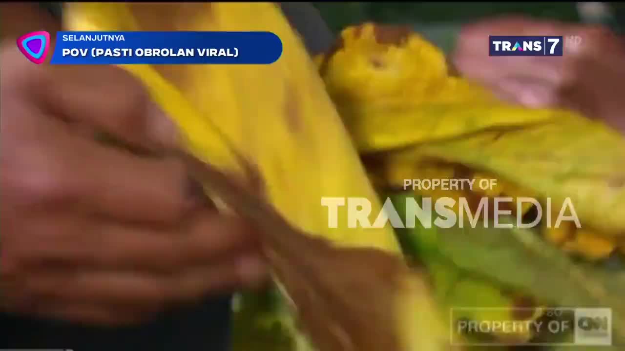 A hand is peeling back a large yellow leaf, revealing something underneath. The "Trans7" logo and a "Property of Transmedia" watermark are visible on screen.
