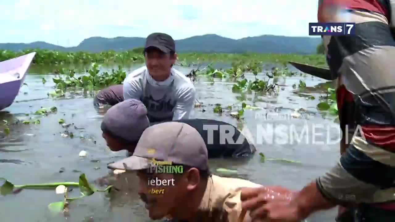 A group of men wade through shallow, water-logged fields, their bodies partially submerged. One man, wearing a Trans7 fishing shirt, reaches out to steady another as they navigate the dense aquatic plants.