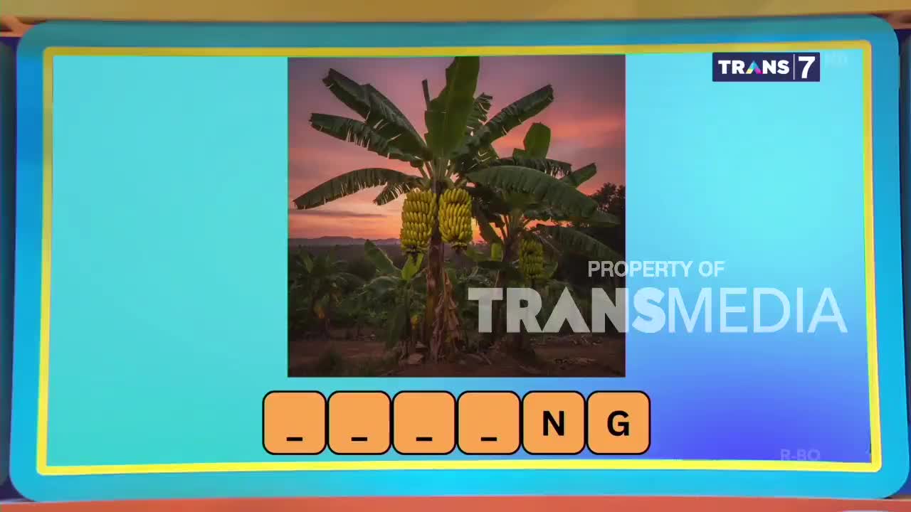 A banana tree heavy with fruit stands against a sunset sky. The Trans7 logo is visible on the screen.