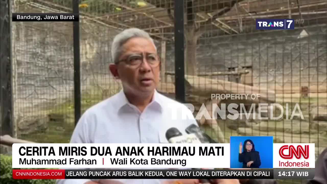 A man in a white shirt speaks into microphones, his gaze directed forward. Behind him, a cage encloses a dimly lit enclosure where a tiger paces.