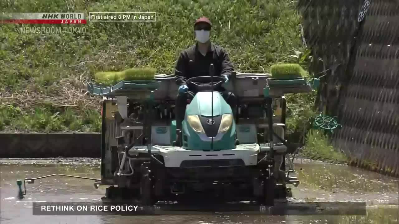 A masked farmer steers a small, teal-colored planting machine through a flooded rice paddy. The NHK World-Japan broadcast is reporting on rice policy as the machine methodically deposits seedlings.
