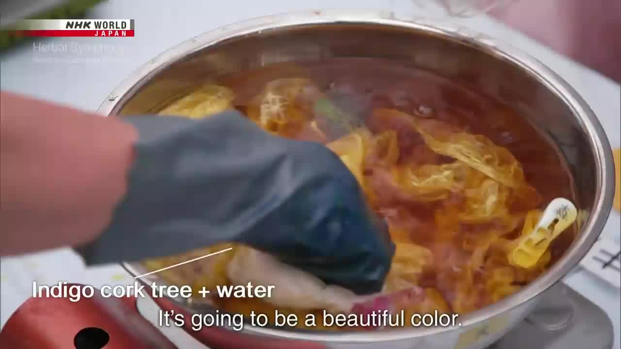 A gloved hand is gently stirring the contents of a large metal pot, the water tinged a warm, reddish-brown. Floating within are what look like folded, yellow sheets, perhaps part of a dyeing process, as seen on NHK World-Japan.
