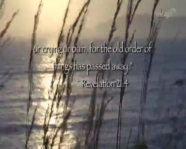 The sun is low over the water, casting a golden sheen. Tall grasses sway gently in the foreground. The sun is low over the water, casting a golden sheen. Tall grasses sway gently in the foreground.