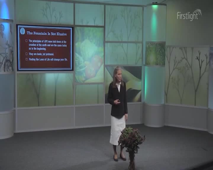 A woman in a dark jacket and white skirt stands on a stage, speaking. A screen behind her displays the title "The Fountain Is Not Elusive" with bullet points.