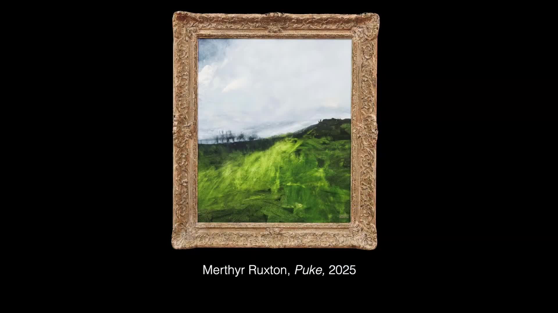 The wind whips through the bright green tussock on the hillside, blurring the distant trees. A grey sky hangs heavy overhead. The wind whips through the bright green tussock on the hillside, blurring the distant trees. A grey sky hangs heavy overhead.