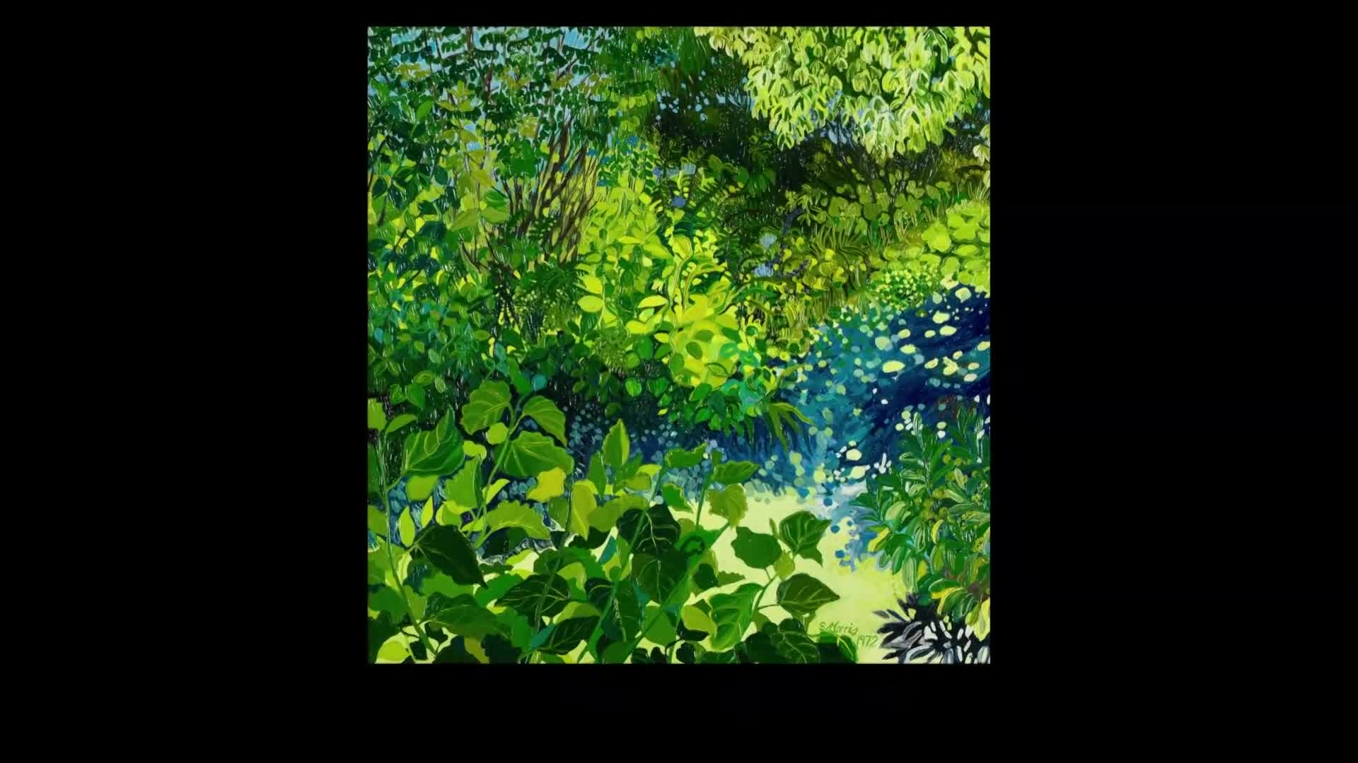 Sunlight dapples through a dense canopy of lush green leaves. Shadows play across the undergrowth, creating a vibrant, dappled effect.