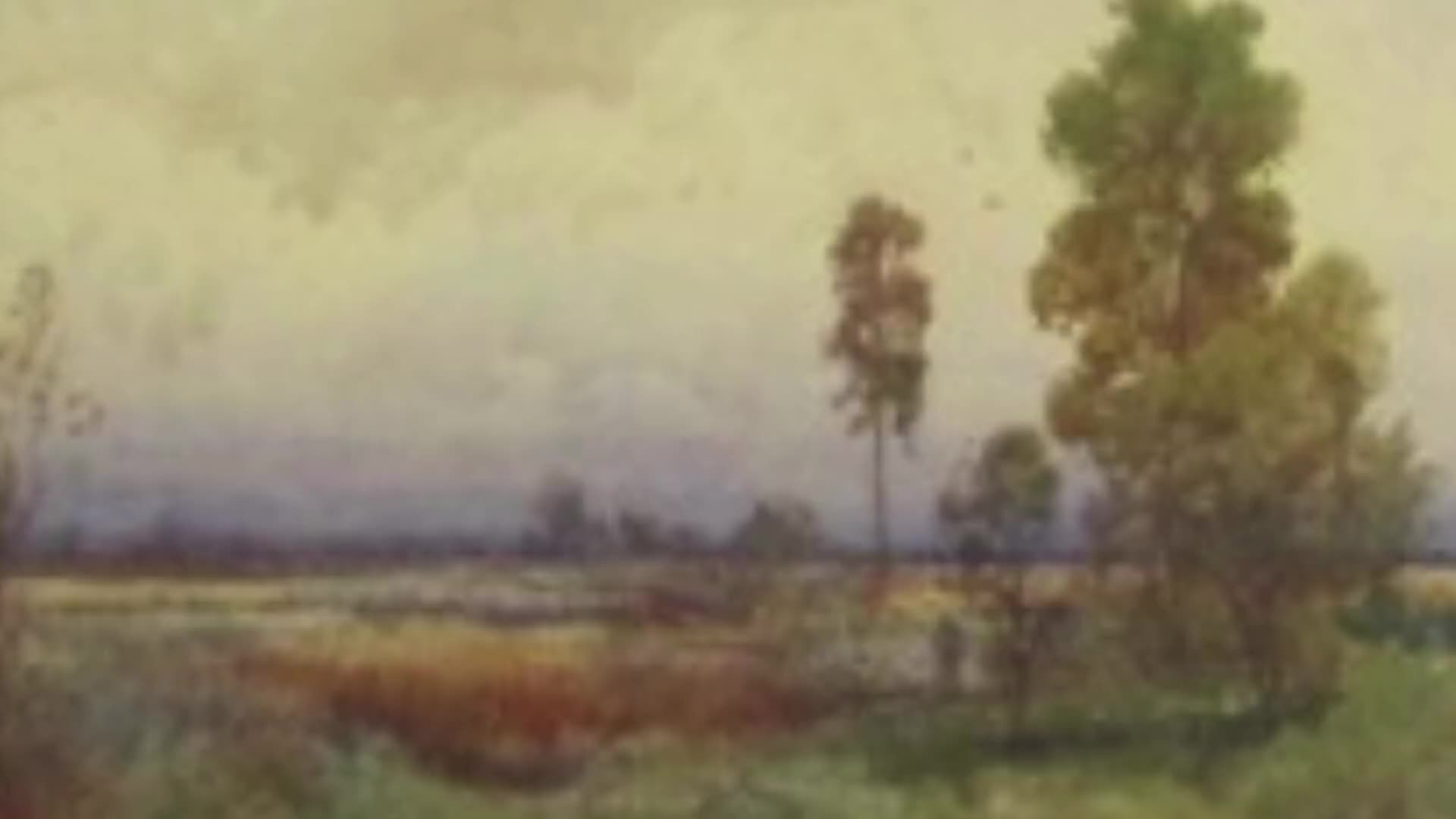 Tall trees stand against a hazy sky. The muted colors suggest a quiet afternoon in the New Zealand countryside.