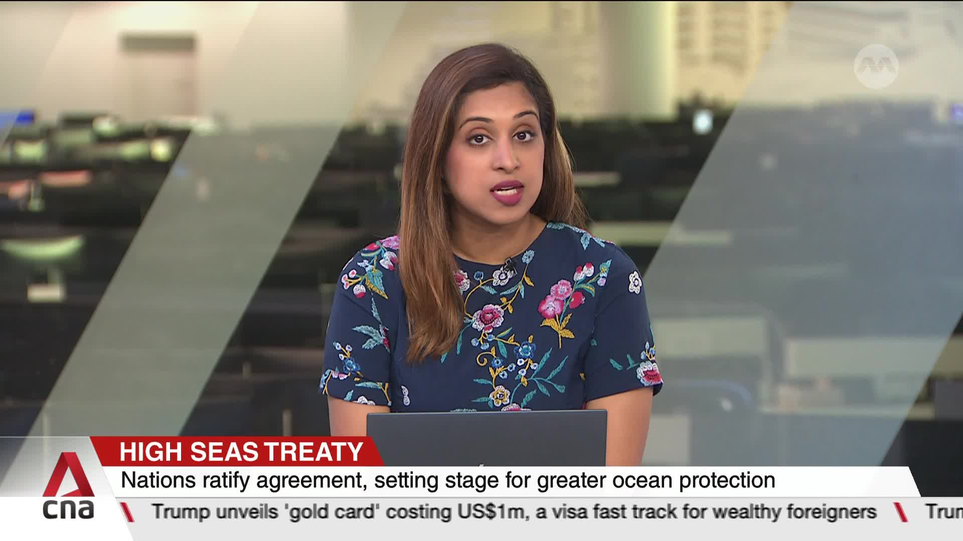 From the CNA International studio in Singapore, a news anchor is speaking, her gaze directed at the camera. The lower third of the screen displays the headline "HIGH SEAS TREATY" and related news.
