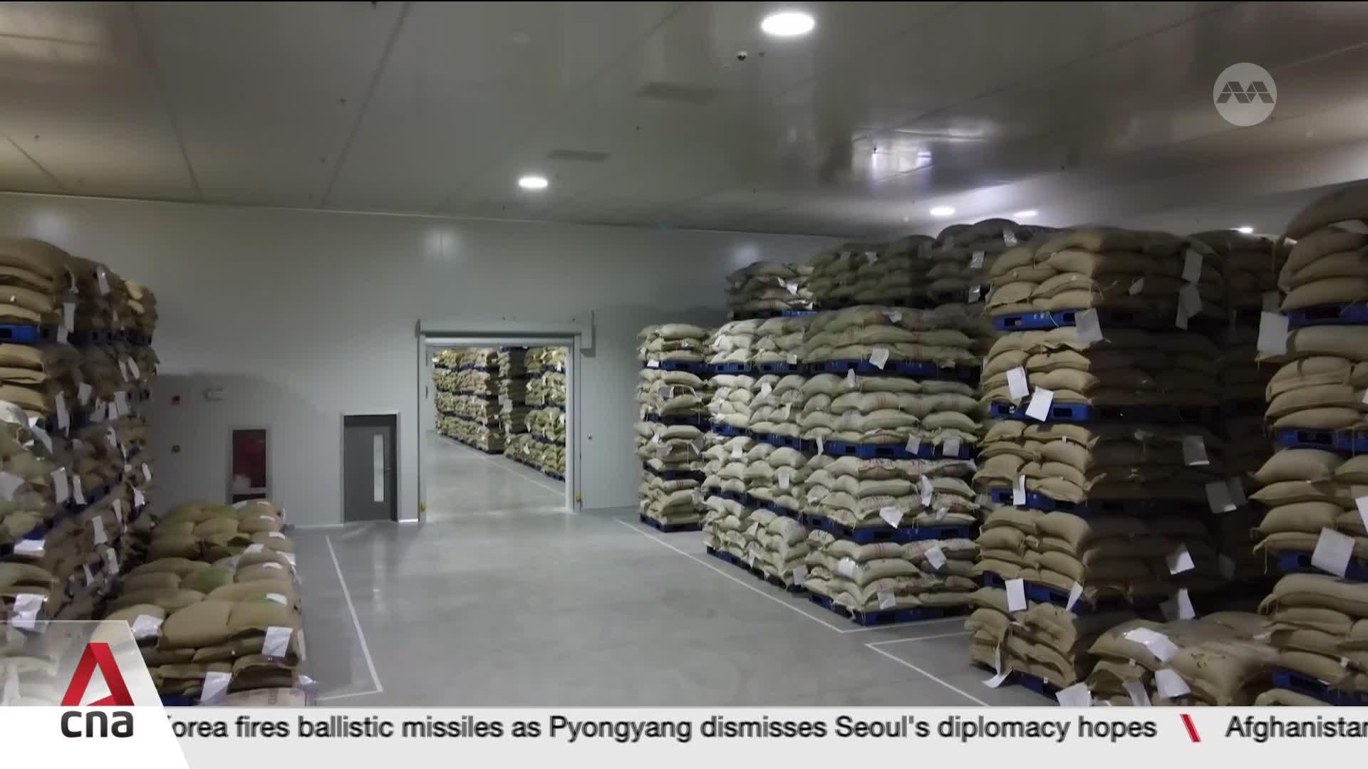 Towering stacks of burlap sacks fill this warehouse, a testament to Singapore's robust trade. Through an open doorway, more rows of bagged goods stretch into the distance.