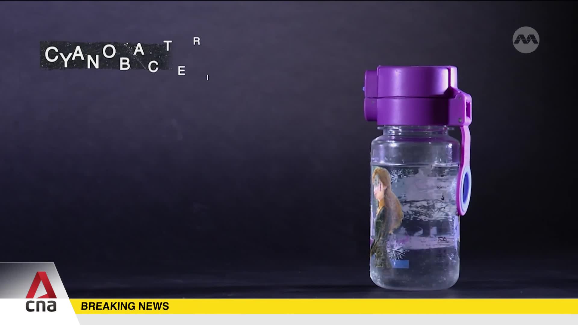 A clear plastic bottle with a purple lid contains water and a picture of a woman. Letters are scattered across the dark background.