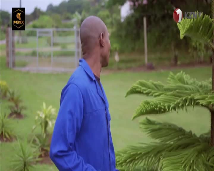 A man in a blue jumpsuit stands in a garden, looking off to the side. The 1KZN TV logo appears in the upper right corner.