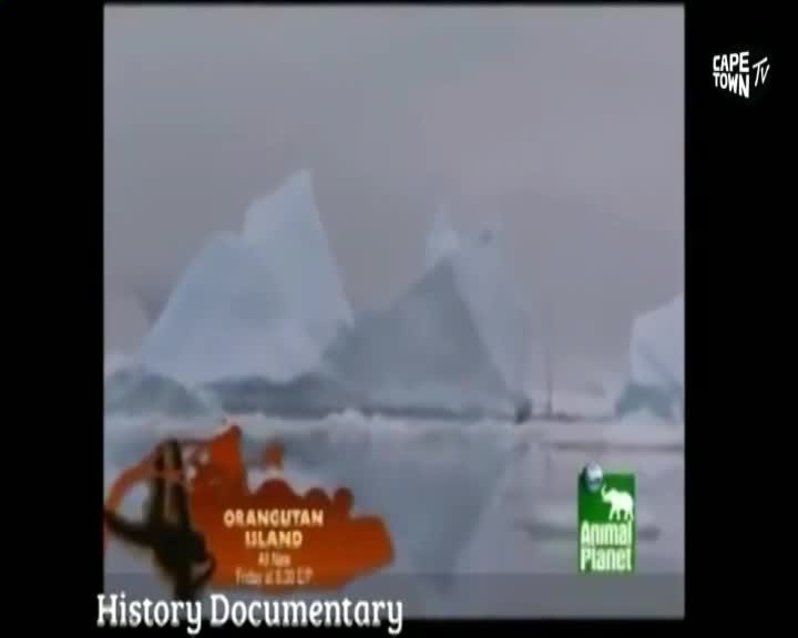 Icebergs float on the water under a cloudy sky, as seen on Cape Town TV. The Animal Planet logo sits in the corner, while the screen advertises "Orangutan Island."
