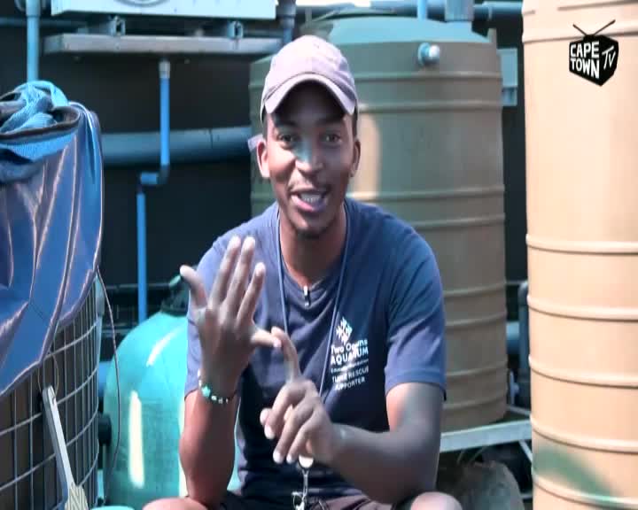 The man in the cap gestures with his hands, explaining something on Cape Town TV. Behind him, large water tanks and pipes fill the background.
