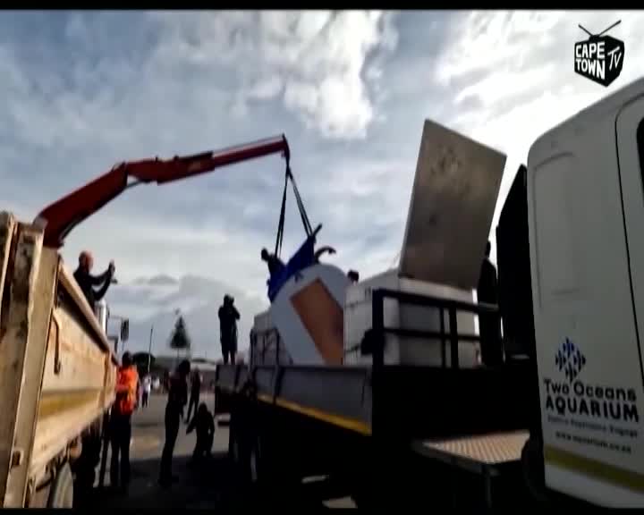A crane is lifting a large, oddly shaped object from a truck, likely part of a display for the Two Oceans Aquarium. People in orange vests and dark clothing are gathered around, and the Cape Town TV logo is visible in the corner.
