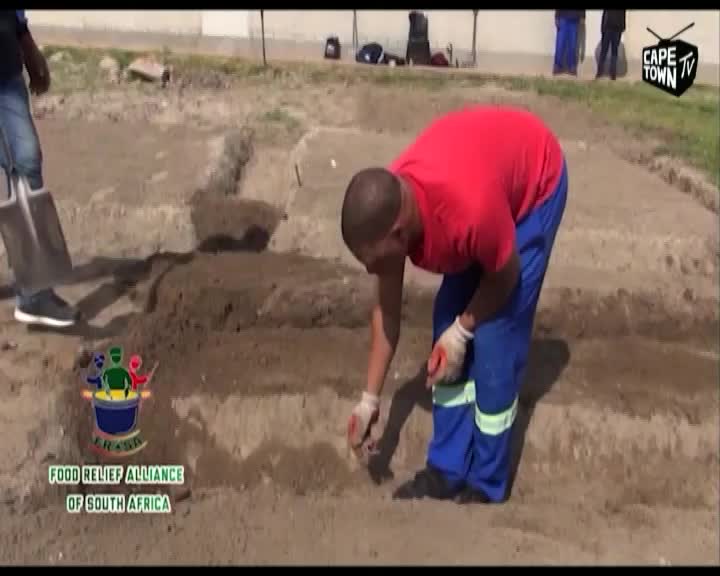 A man in a red shirt and blue overalls carefully works the soil in a raised bed, while another uses a shovel nearby. The Cape Town TV logo is visible as the Food Relief Alliance of South Africa gets the ground ready.
