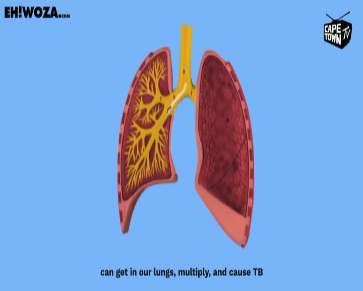 The lungs, a vibrant red and yellow, are displayed against a clear blue background, hinting at a message from Cape Town TV. Below them, text explains how something can enter our lungs, multiply, and cause TB.
