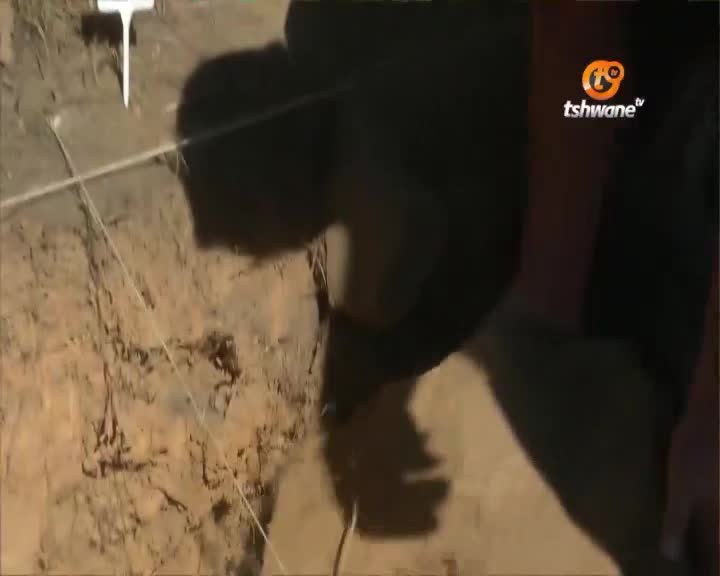 A person bends over, their hands obscured as they work near a trench. The Tshwane TV logo is visible on their dark clothing.