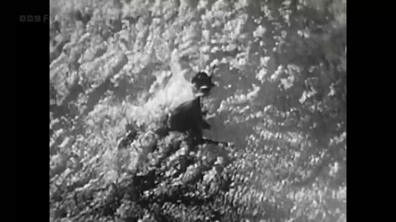 A dark shape falls through the clouds, its form indistinct against the fluffy white backdrop. It's a scene from BBC Four, the grainy quality adding to the intensity of the moment.

