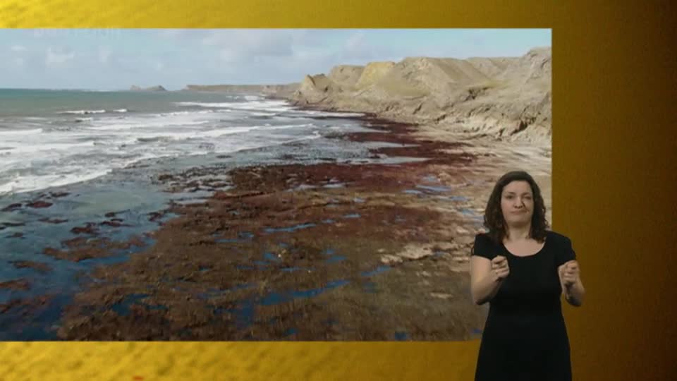 The tide is out on this rocky UK coastline, revealing pools of water and seaweed. A woman signs along to the BBC Four broadcast.