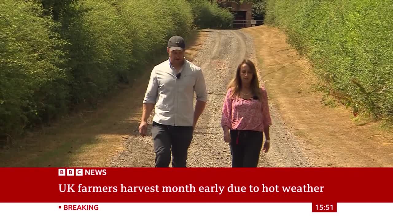 A man and woman, both wearing microphones, walk down a dirt track flanked by green hedges. The BBC News graphic at the bottom indicates a story about UK farmers and the hot weather.
