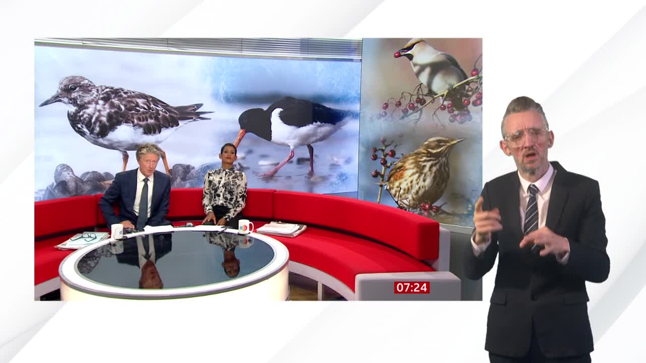 On the BBC News set, a man and woman are seated at a round table, with images of birds displayed behind them. A man in a suit on the right is signing, likely interpreting the news.
