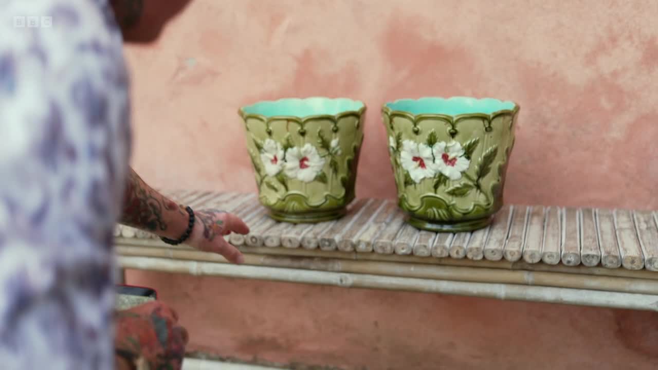 A tattooed hand reaches out towards two decorative green planters on a bamboo shelf. The planters have white flowers with red centers, and the BBC Two logo is visible in the top left.