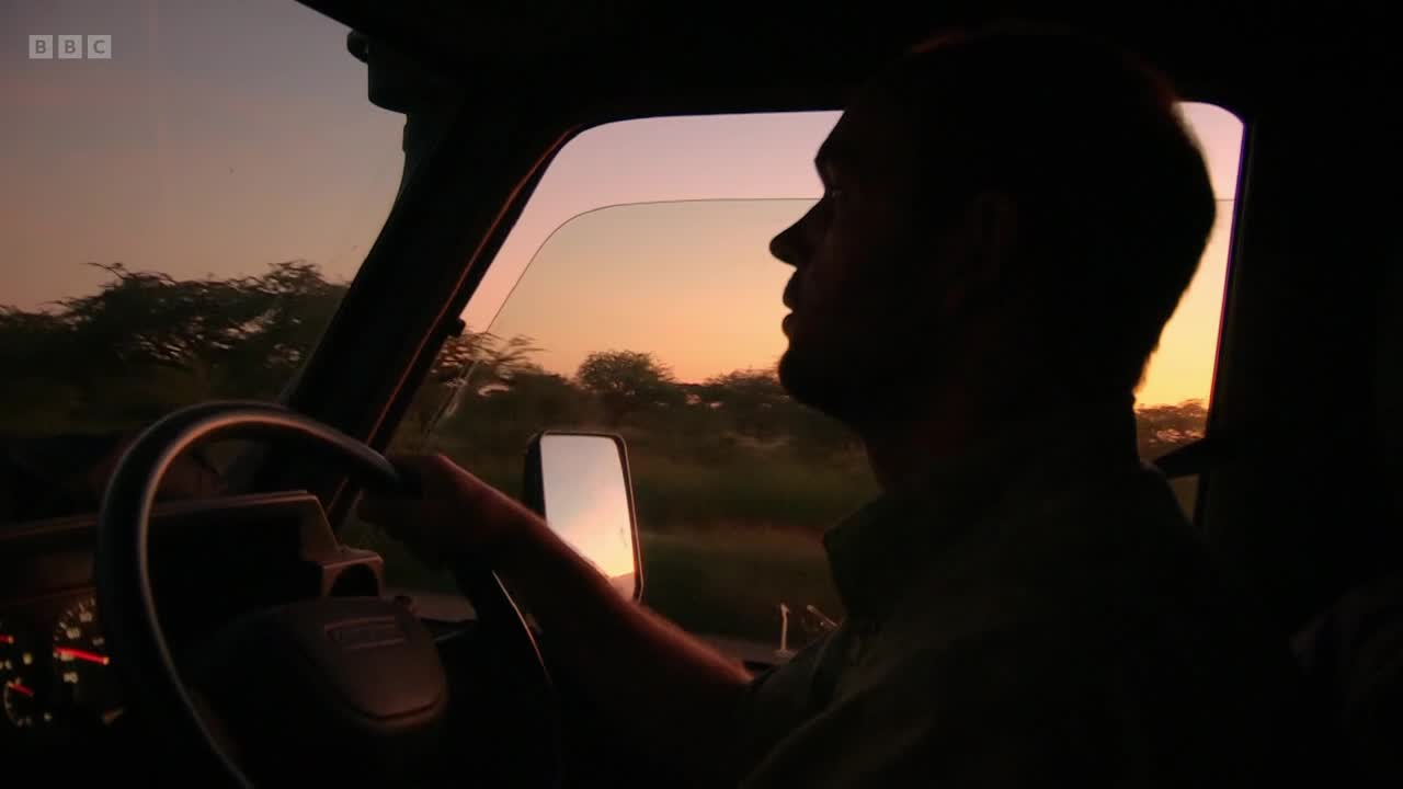 The sun dips low, casting an orange glow across the sky as a man drives. Trees and scrub brush blur past the open window.