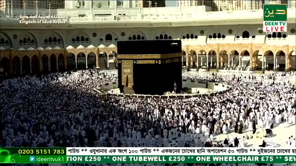 A sea of white-clad people circles the black Kaaba, their movement a constant, slow flow. The scene is broadcast live on Deen TV from the Kingdom of Saudi Arabia.
