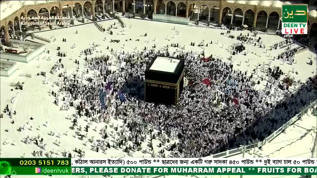 From the Deen TV broadcast, I see a dense crowd of people circling a black cube. The throng of white-robed figures moves around the structure, a sea of motion in the open courtyard.
