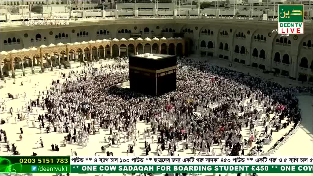 A massive crowd of people, mostly in white, circles the black Kaaba. The scene is being broadcast live on Deen TV from the Kingdom of Saudi Arabia.
