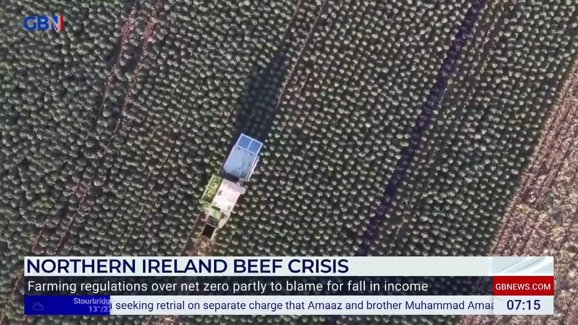 A harvesting machine, with its white and blue components, moves slowly through a dense field of crops. The scene is part of a GB News report on the Northern Ireland beef crisis.
