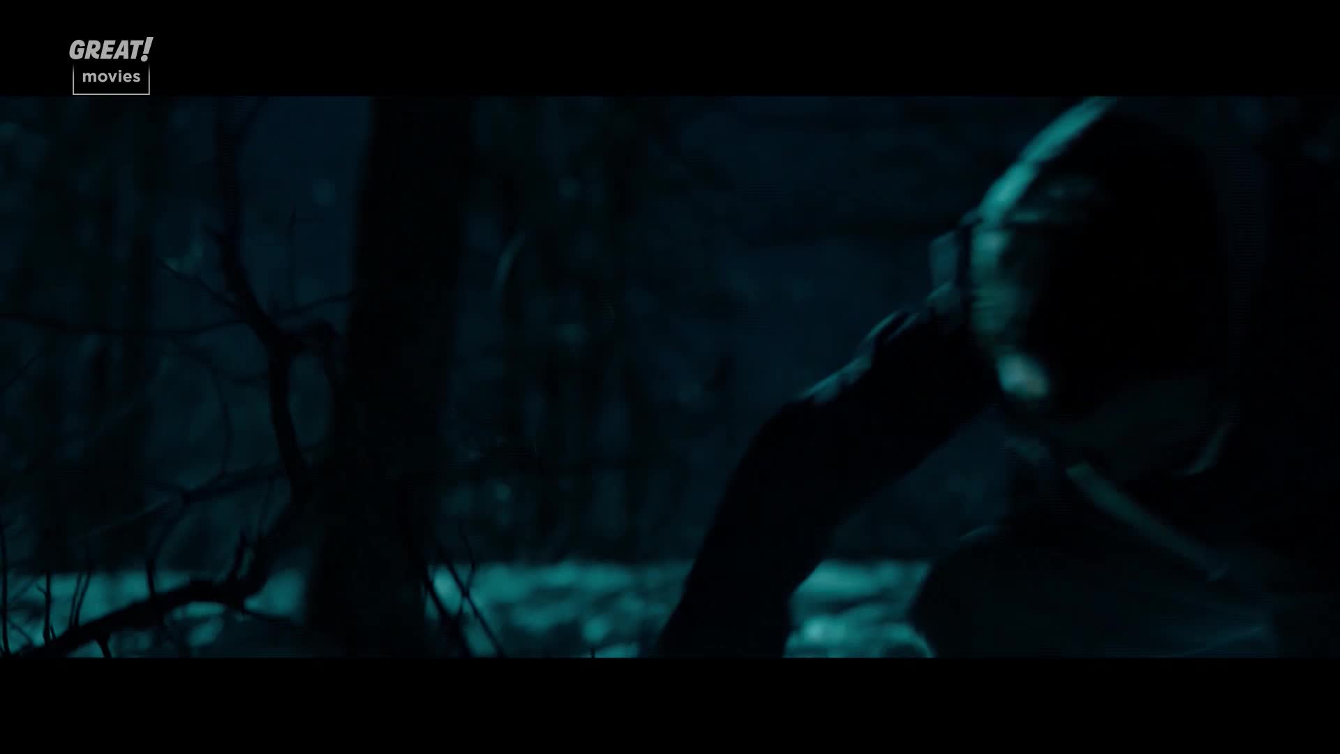 A figure, mostly obscured by shadow, lunges forward through a dark forest. The scene is lit with a cool, eerie light, suggesting a tense moment in the woods.
