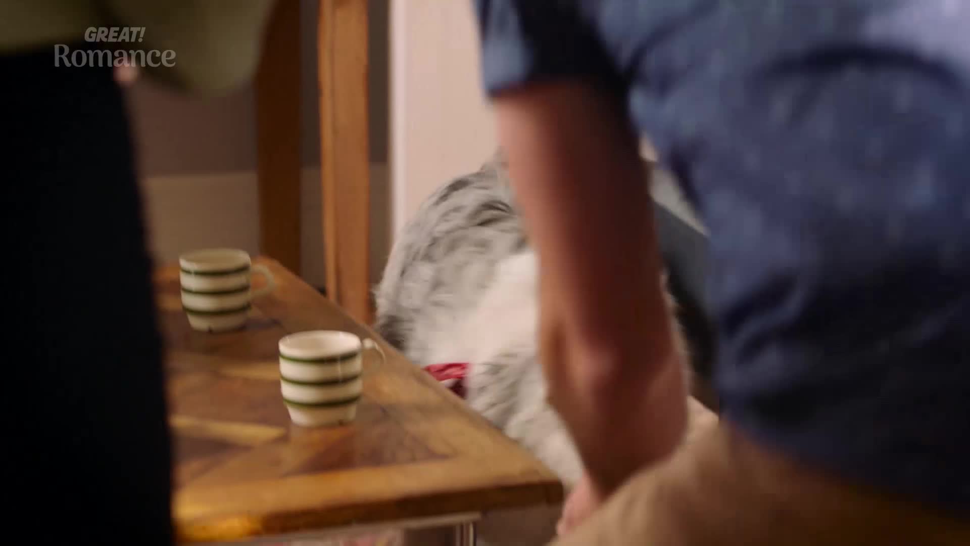 A fluffy grey and white dog, wearing a red collar, nudges its head under a wooden table. Two small, striped mugs sit on the table's surface.