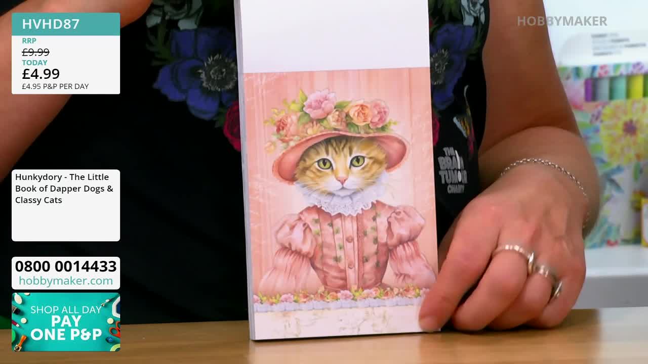A person's hand gently holds up a book featuring a cat wearing a hat and dress, likely for a Hobby Maker promotion. The price and product details are displayed on the screen, advertising a deal in the United Kingdom.
A person's hand gently holds up a book featuring a cat wearing a hat and dress, likely for a Hobby Maker promotion. The price and product details are displayed on the screen, advertising a deal in the United Kingdom.