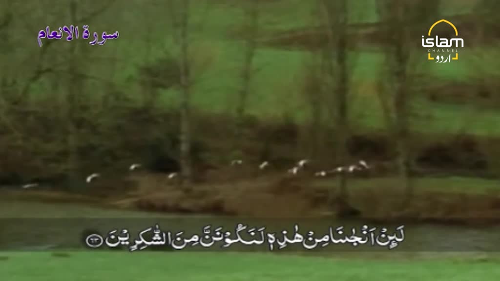 A flock of white birds flies low over a green field, the scene framed by trees. The Islam Channel Urdu logo is in the corner, and Arabic script appears at the bottom of the screen.
