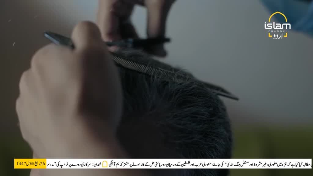 A comb and scissors work on a man's graying hair. Tiny clippings drift down from the top of his head.

