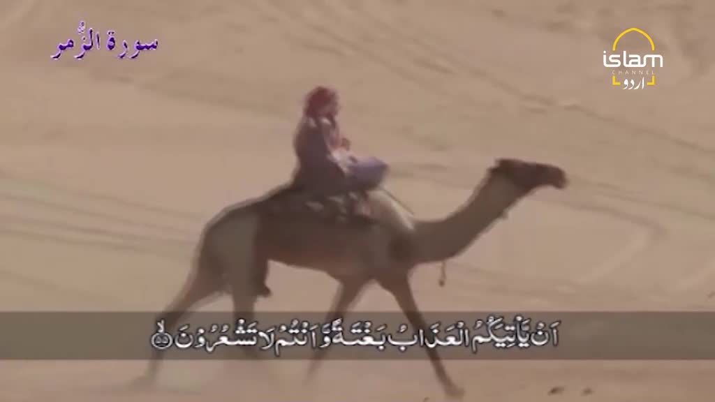 A person in traditional clothing rides a camel across the desert. The scene, broadcast on Islam Channel Urdu from the United Kingdom, shows Arabic script at the bottom of the screen.

