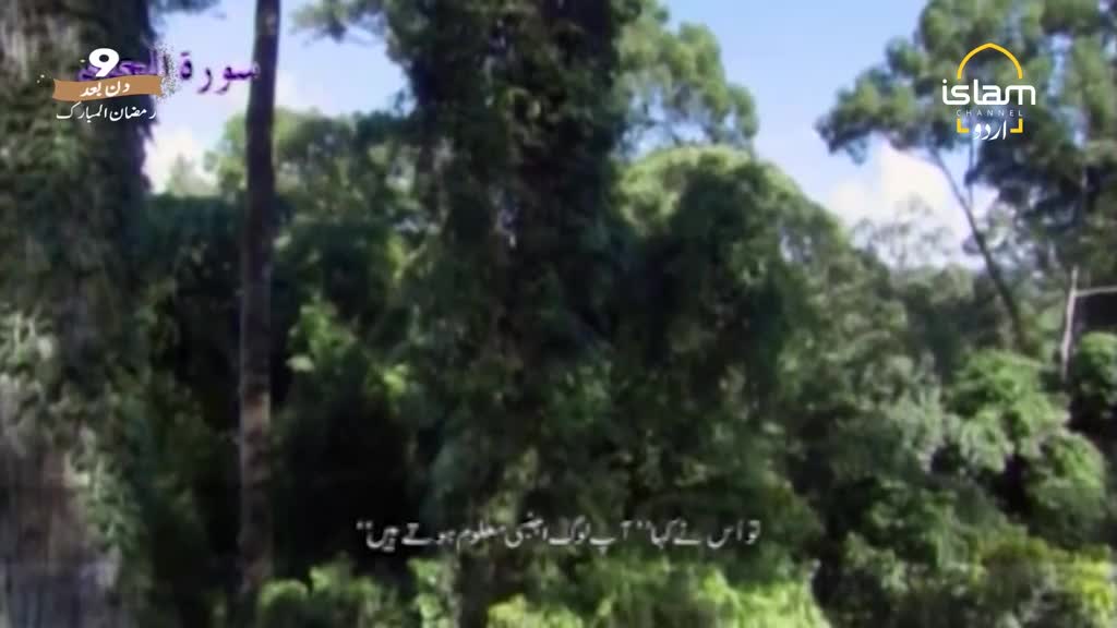 A thick canopy of green trees fills the frame, with a bright blue sky peeking through. Arabic text overlays the scene, indicating content from Islam Channel Urdu.