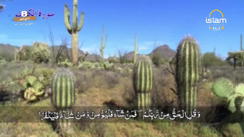 Giant saguaro cacti stand tall against a bright blue sky. The desert landscape is dotted with smaller cacti and dry brush.