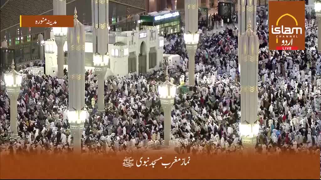 A vast crowd of worshippers fills the courtyard, their white and light-colored garments a sea of unity. Tall, illuminated minarets stand sentinel over the gathering as prayers commence. A vast crowd of worshippers fills the courtyard, their white and light-colored garments a sea of unity. Tall, illuminated minarets stand sentinel over the gathering as prayers commence.