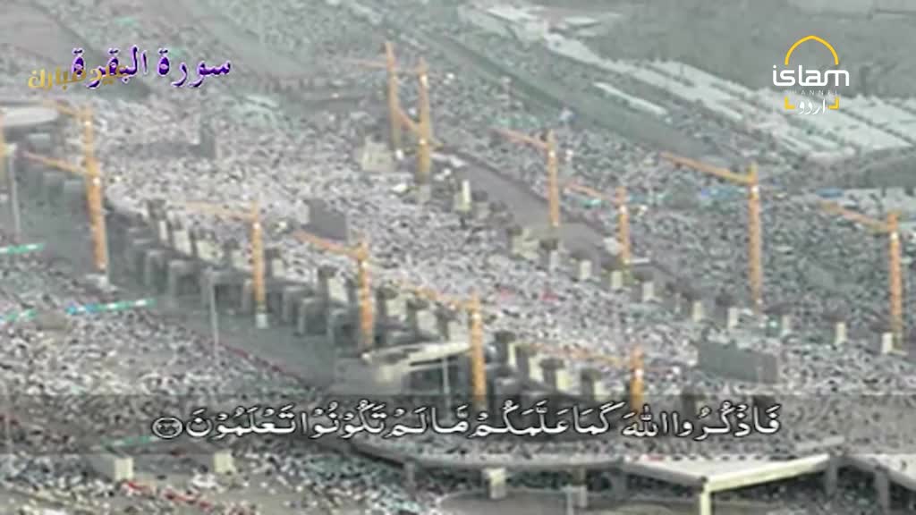 Thousands of people fill the plaza, dwarfed by towering yellow cranes. The vast crowd moves around the ongoing construction. Thousands of people fill the plaza, dwarfed by towering yellow cranes. The vast crowd moves around the ongoing construction.