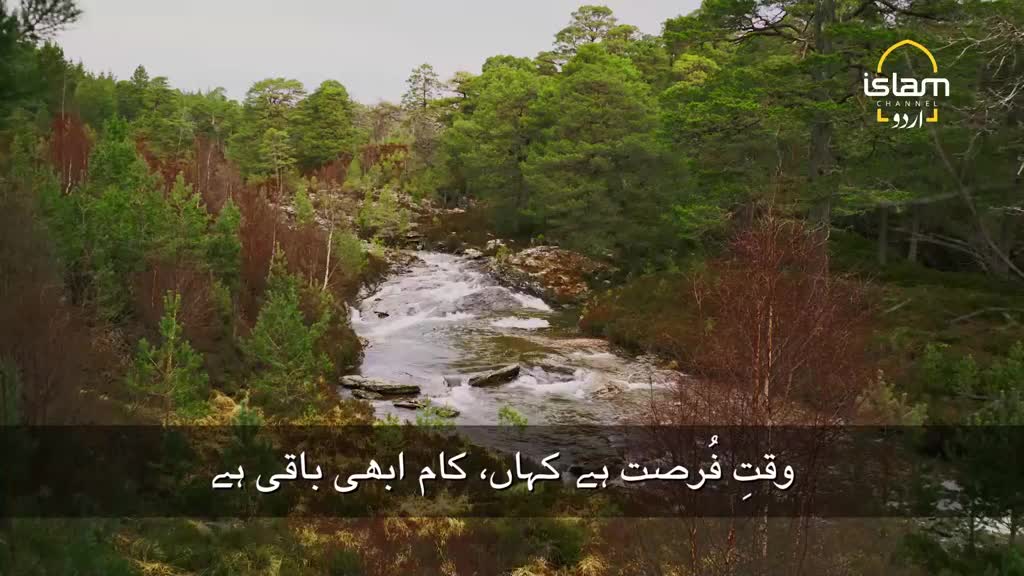 A brisk river flows through a forest of pine and birch trees in the Scottish Highlands. The water tumbles over rocks, creating a lively cascade as it makes its way downstream.