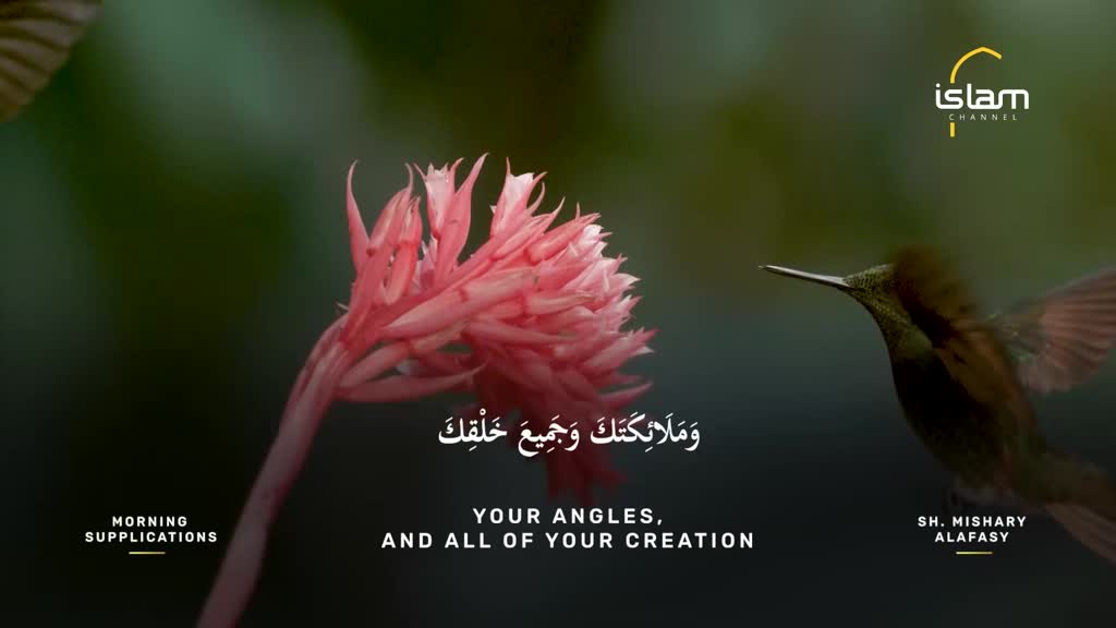 A hummingbird hovers near a cluster of pink flowers, its wings a blur. The Islam Channel logo is visible, and the screen displays Arabic script with English translation.
