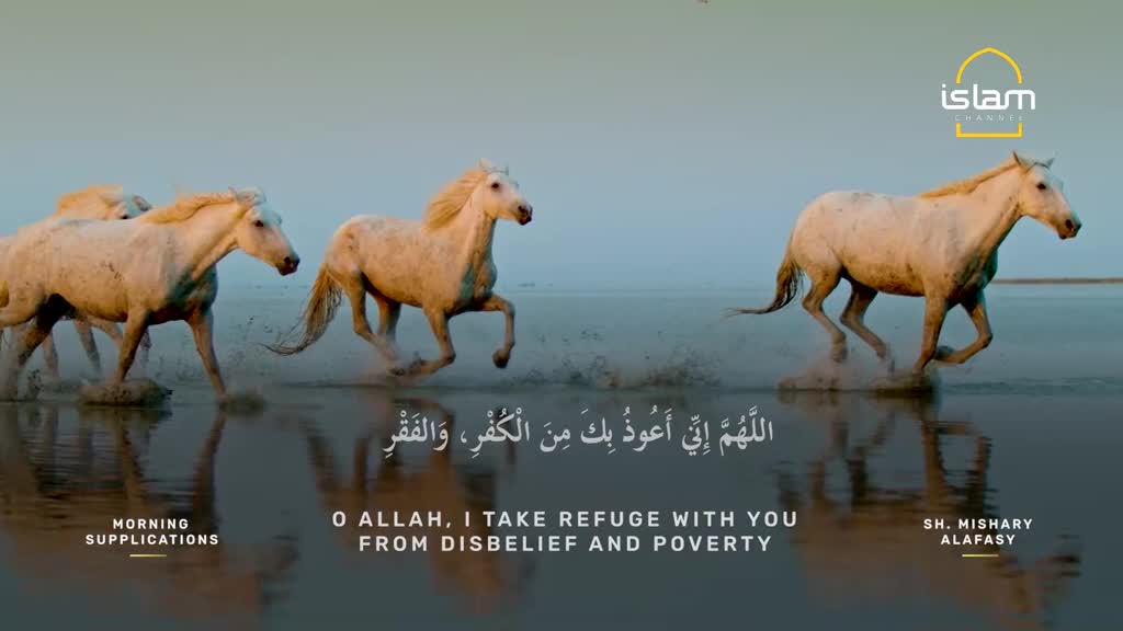 White horses gallop through shallow water, their manes and tails flowing as they kick up splashes. The scene is framed by a logo from Islam Channel, with Arabic script and English translation below.
