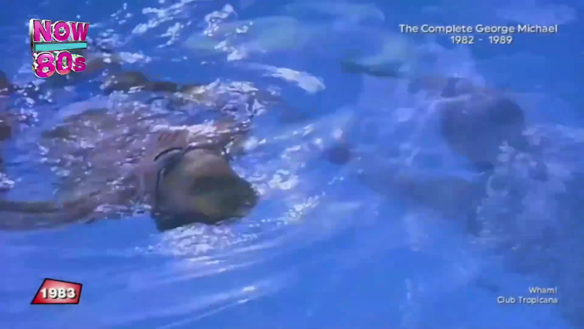 Someone is underwater, their head and shoulders visible, swimming in a pool. The water is a bright blue, and there's a sense of movement as they propel themselves forward.
