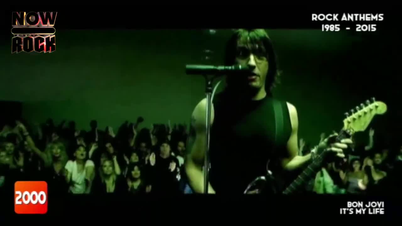 A man with long dark hair strums a guitar, bathed in green light, singing into a microphone. The crowd behind him is a sea of waving arms and excited faces.
