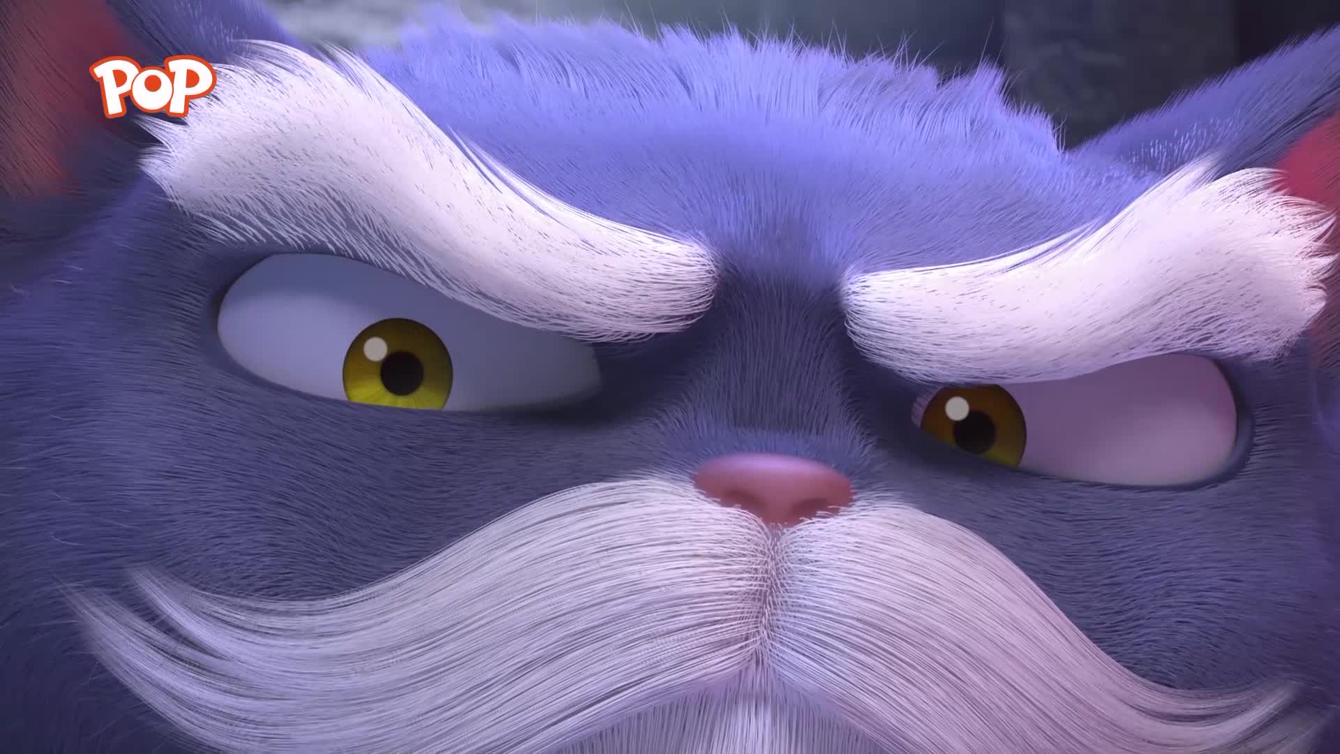 A large, blue cat with white whiskers and eyebrows glares intensely. Its yellow eyes are narrowed, and its pink nose twitches slightly. A large, blue cat with white whiskers and eyebrows glares intensely. Its yellow eyes are narrowed, and its pink nose twitches slightly.
