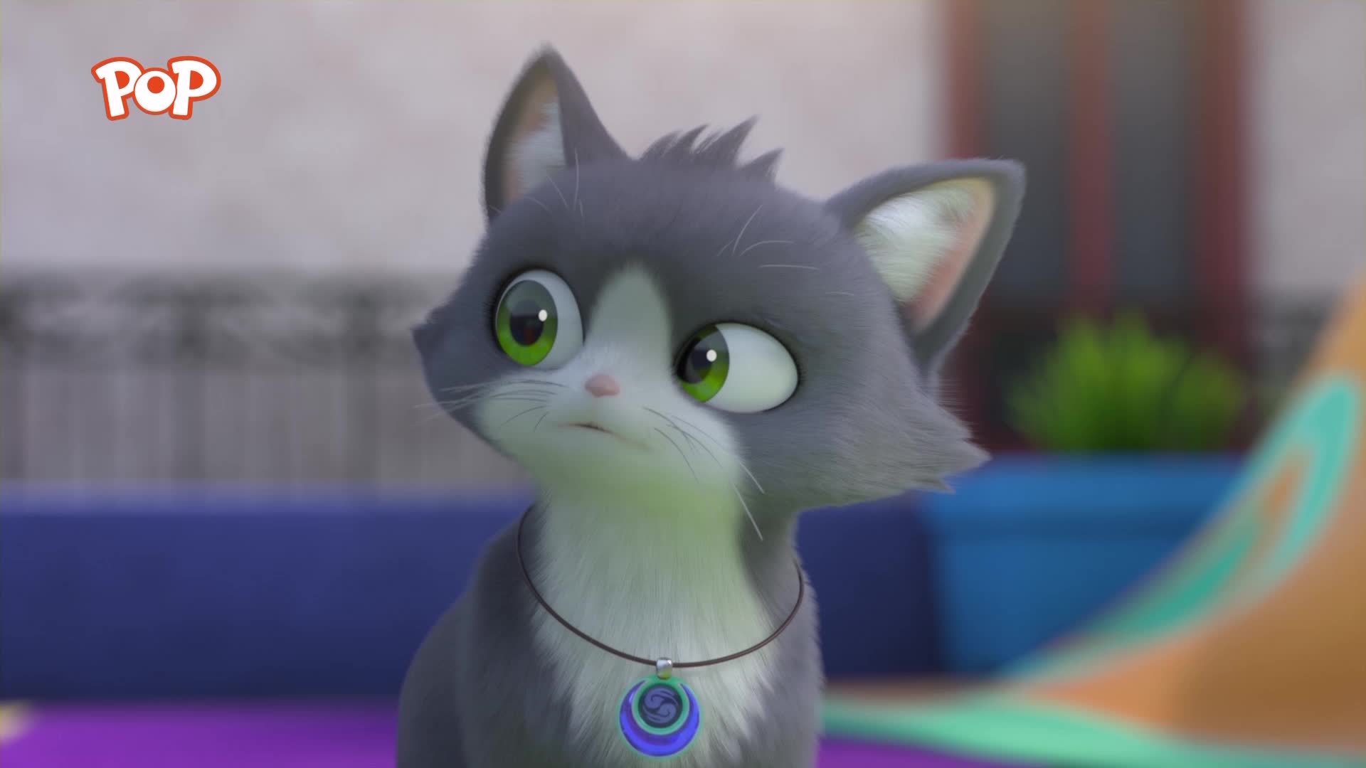 A grey and white kitten with wide, green eyes looks directly ahead, a blue and green pendant hanging from its neck. The POP logo appears in the top left corner. A grey and white kitten with wide, green eyes looks directly ahead, a blue and green pendant hanging from its neck. The POP logo appears in the top left corner.