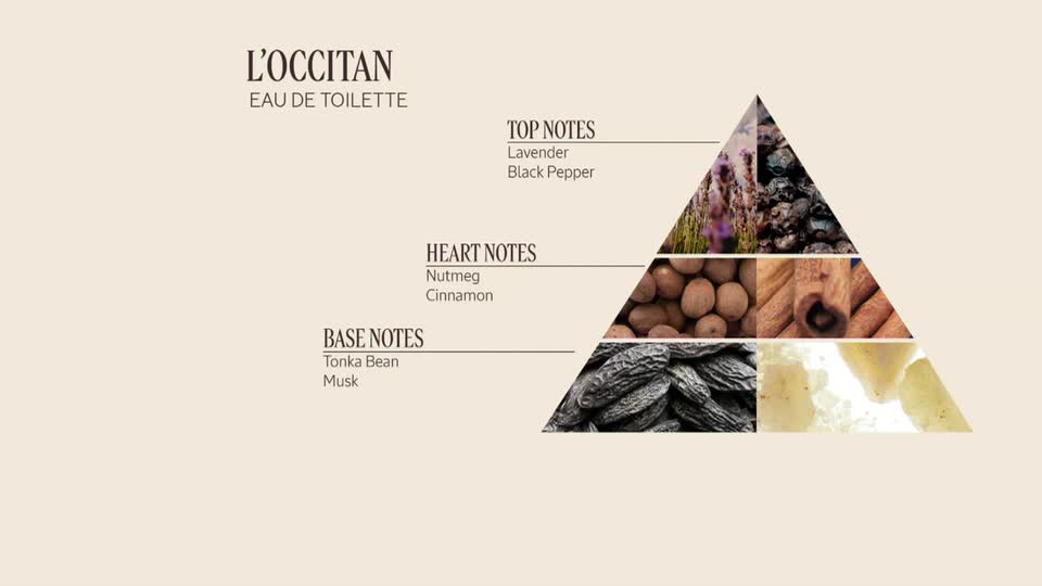 The L'Occitan Eau de Toilette pyramid displays lavender and black pepper at the top, with nutmeg and cinnamon in the middle. Tonka bean and musk form the base.