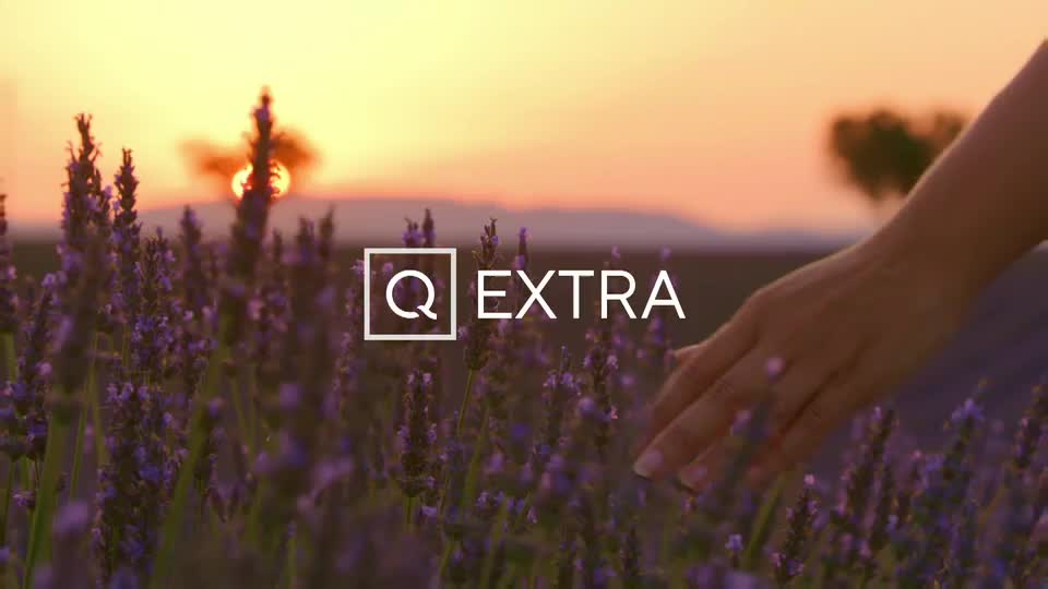 A hand gently brushes across a field of lavender, the flowers swaying slightly in the breeze. The QVC Extra logo sits in the foreground, with the sun setting in the distance.

